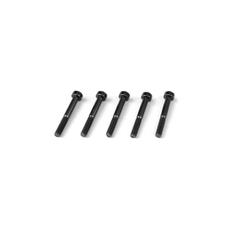 Goosky RS5/RS7 Screws -M3X22